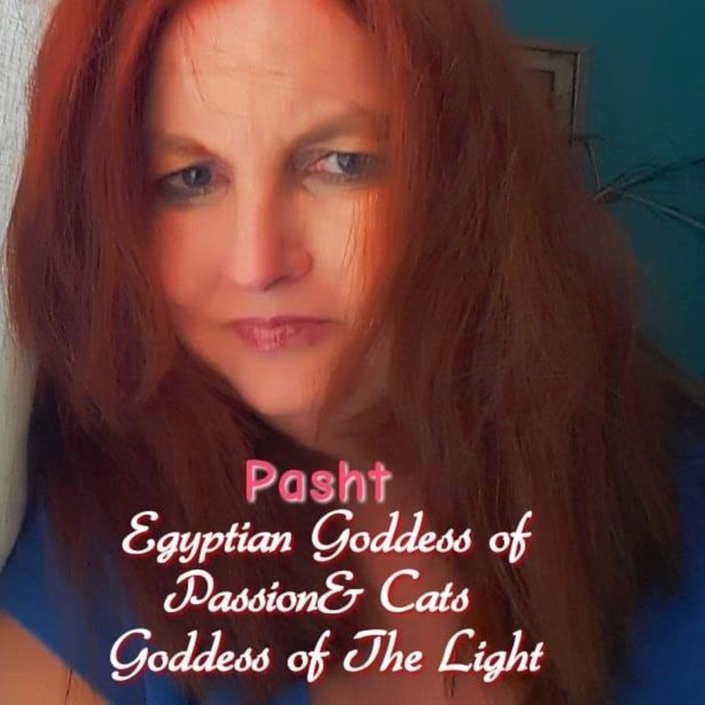 Meet your Posher, Pasht